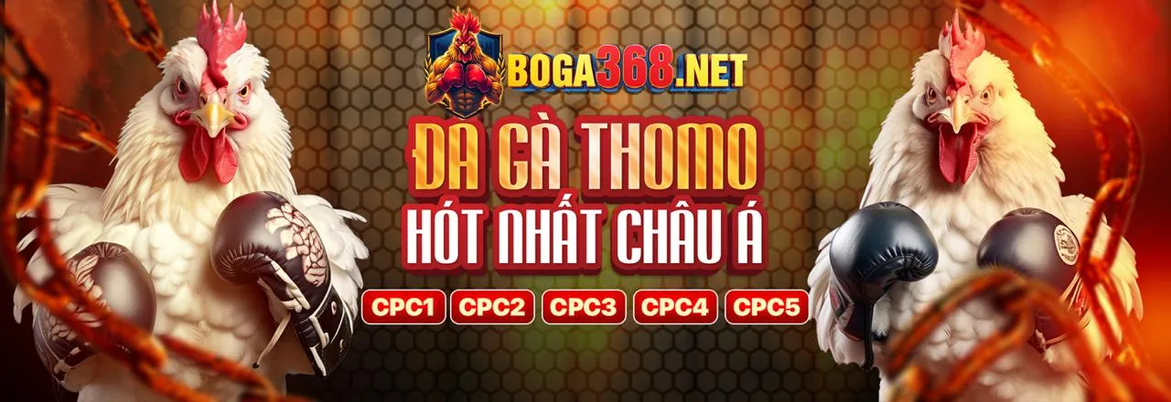 Mẹo bảo vệ tài khoản cá nhân
